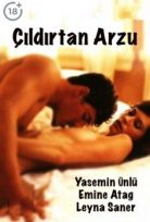 Çıldırtan Arzu yeşilçam erotik izle