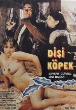 Dişi Köpek 1980 yeşilçam erotik izle