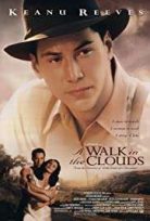 Bulutların ötesi / A Walk in the Clouds izle