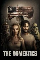 Yurtseverler – The Domestics izle