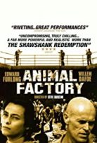 Animal Factory izle