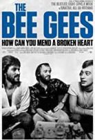 The Bee Gees: How Can You Mend a Broken Heart izle