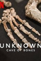 Unknown: Cave of Bones izle